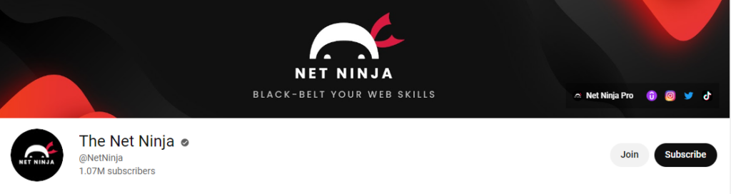 The Net Ninja